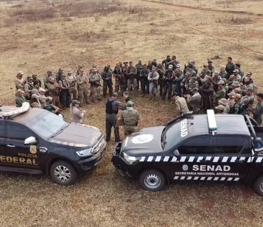 Golpe histórico al narcotráfico: Operativo conjunto entre Paraguay y Brasil saca de circulación marihuana por USD 150 millones