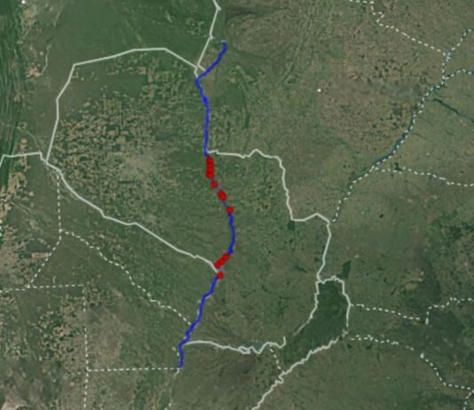 Derrumbando mitos: El Dragado del Río Paraguay y la afectación al pantanal