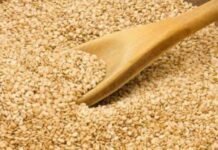 Capexse celebra 20 años de trabajo consolidando mercados para el sésamo y la chía paraguaya