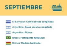 Exportaciones paraguayas navegan hacia 21 nuevos destinos internacionales