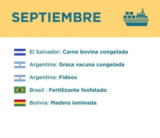 Exportaciones paraguayas navegan hacia 21 nuevos destinos internacionales