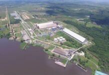 Fuerte salto industrial en 2025: procesan 3 millones de toneladas, pero piden políticas claras