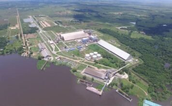 Fuerte salto industrial en 2025: procesan 3 millones de toneladas, pero piden políticas claras