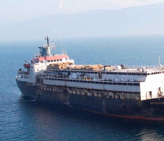 El Spiridon II atraca en Libia tras dos meses de incertidumbre: las 2.900 cabezas de ganado uruguayo podrían ser descargadas en Líbano para faena