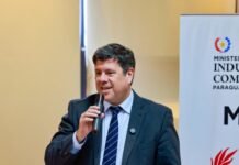 Industrias convergentes: energía renovable como motor del desarrollo industrial y logístico