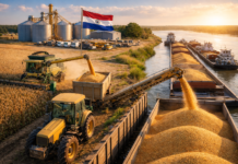 La producción de soja de la zafra 2024/2025 alcanzó 10 millones de toneladas en Paraguay