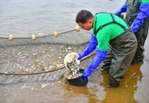 El MIC impulsa la piscicultura como motor de desarrollo y anuncia el IV Encuentro Nacional del sector