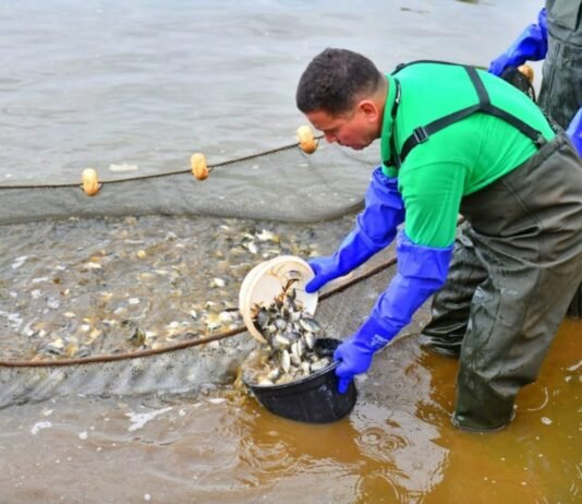 El MIC impulsa la piscicultura como motor de desarrollo y anuncia el IV Encuentro Nacional del sector