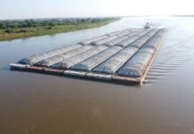 Fuga de flota: el sector advierte sobre pérdida de protagonismo paraguayo