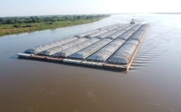 Fuga de flota: el sector advierte sobre pérdida de protagonismo paraguayo