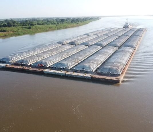 Fuga de flota: el sector advierte sobre pérdida de protagonismo paraguayo