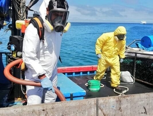 “Gas mortal a bordo”: dos oficiales fallecen tras intoxicación por fosfina en un buque de carga