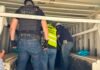 Tráfico internacional de drogas: incautan 311 kilos de marihuana premium en el Puerto Terport de Villeta
