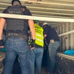 Tráfico internacional de drogas: incautan 311 kilos de marihuana premium en el Puerto Terport de Villeta
