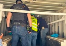 Tráfico internacional de drogas: incautan 311 kilos de marihuana premium en el Puerto Terport de Villeta