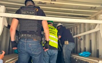 Tráfico internacional de drogas: incautan 311 kilos de marihuana premium en el Puerto Terport de Villeta