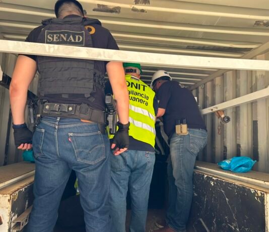 Tráfico internacional de drogas: incautan 311 kilos de marihuana premium en el Puerto Terport de Villeta