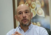 CAPECO: la campaña agrícola impulsa las exportaciones, pero advierte sobre nuevos costos en la hidrovía y reclama participación en las decisiones