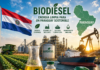 Paraguay impulsa la industrialización de la soja con el aumento gradual de la mezcla de biodiésel