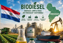Paraguay impulsa la industrialización de la soja con el aumento gradual de la mezcla de biodiésel